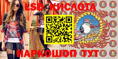 дмт Кингисепп