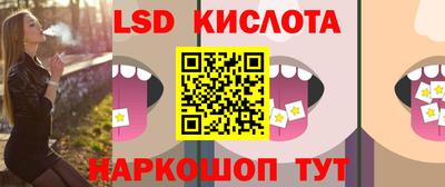 дмт Кингисепп
