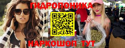 дмт Кингисепп
