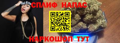 дмт Кингисепп