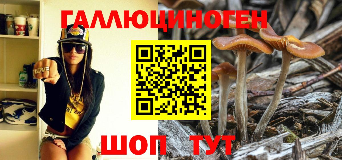 Кудрово  Псилоцибиновые грибы прущие грибы  Вход с VPN 